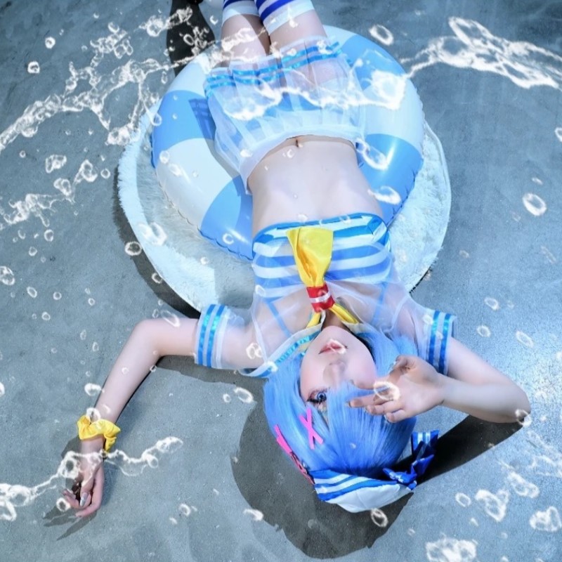 Rem Ram Anime Re:Life in a dif - Re Zero Rem Wig 评论和价格