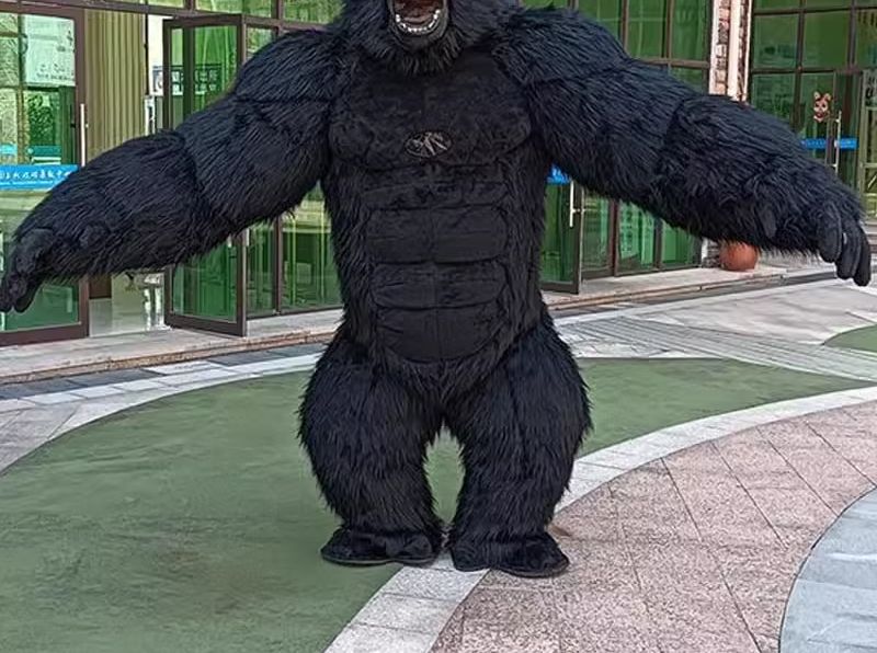 Real Life Inflatable Gorilla C - Anime Cosplay Real Life 评论和价格