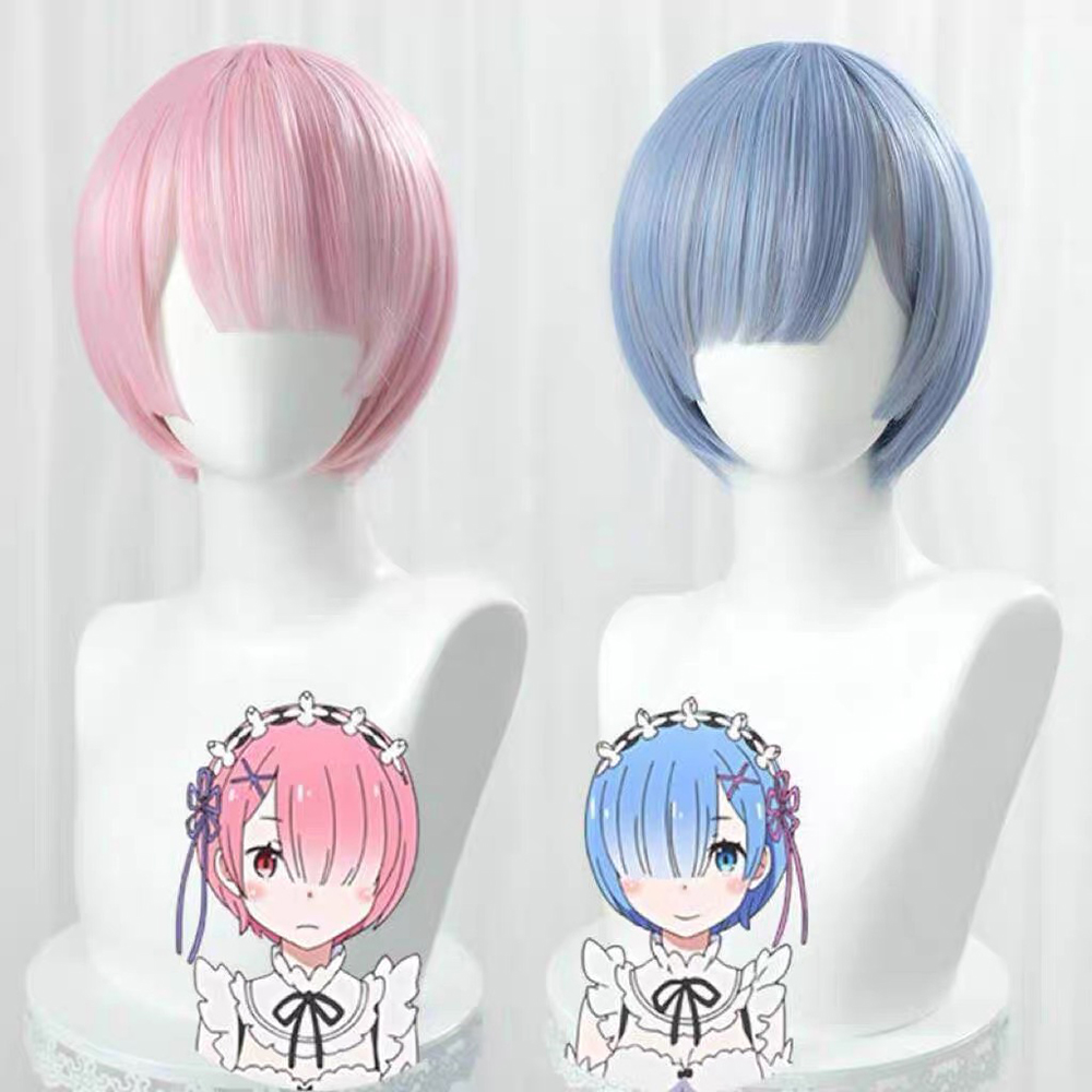 HAIRJOY Synthetic Hair Wig Re: - Re Zero Rem Wig 评论和价格