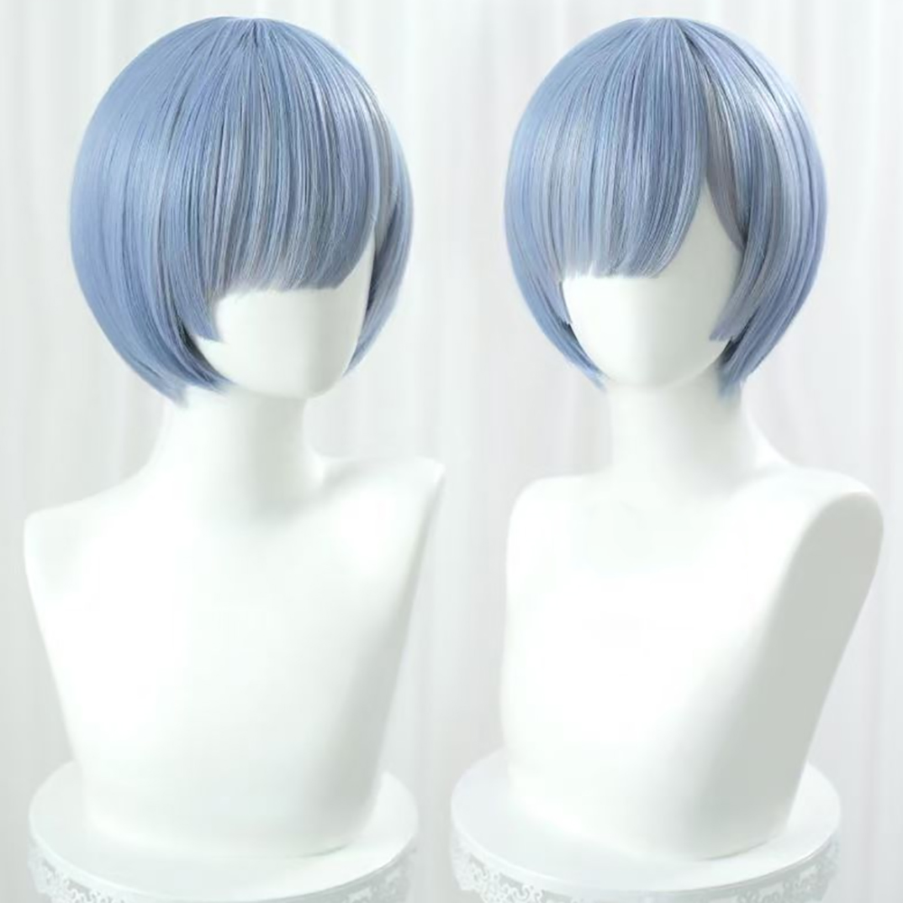 HAIRJOY Synthetic Hair Wig Re: - Re Zero Rem Wig 评论和价格