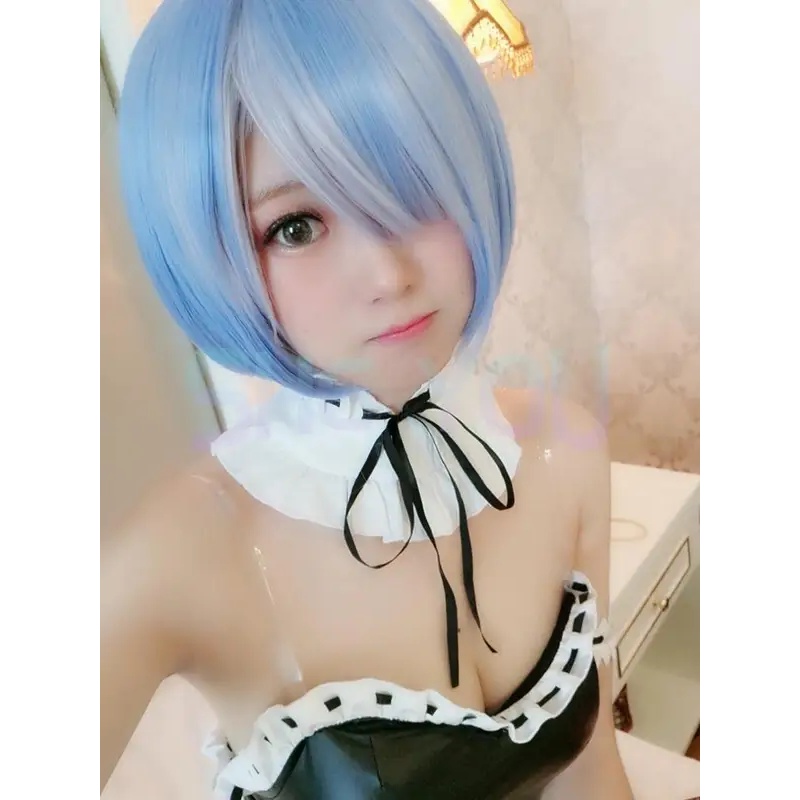 c;4\g,6'h.9/c;4\g,6'h.9/High Q - Re Zero Rem Wig 评论和价格
