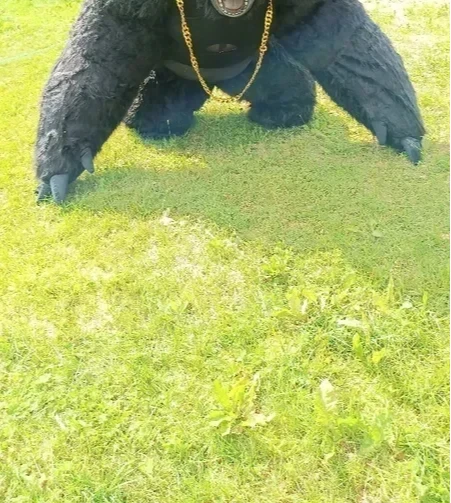 Christmas Real Life Inflatable - Anime Cosplay Real Life 评论和价格