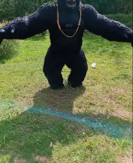 Real Life Inflatable Gorilla C - Anime Cosplay Real Life 评论和价格