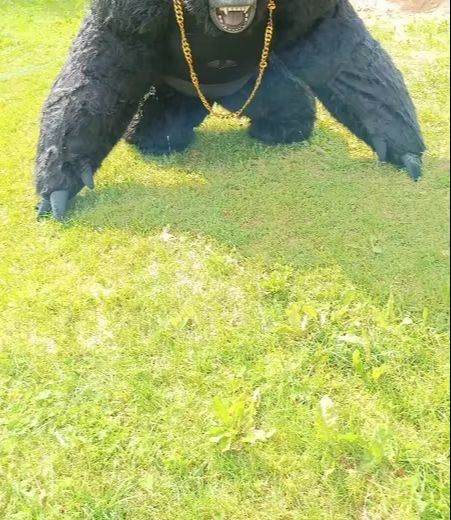 Real Life Inflatable Gorilla C - Anime Cosplay Real Life 评论和价格