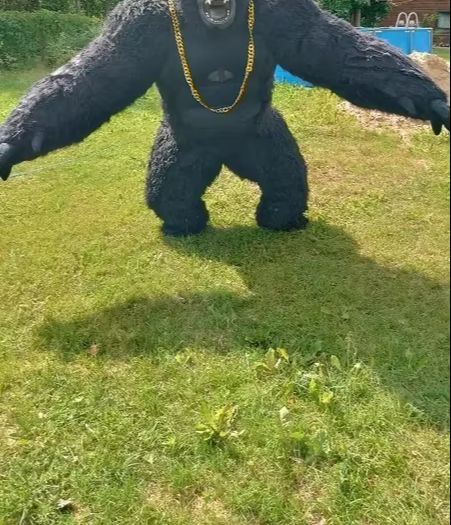 Real Life Inflatable Gorilla C - Anime Cosplay Real Life 评论和价格